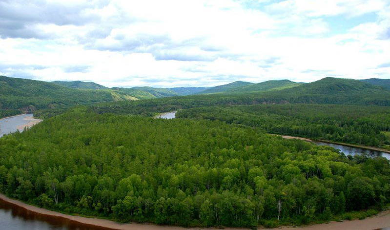 ���ǰ�¹���ȼٴ�